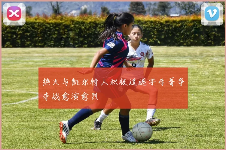 热火与凯尔特人积极追逐字母哥争夺战愈演愈烈